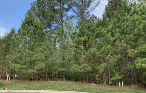 68 Larkspur Court Court, Pittsboro, NC 27312