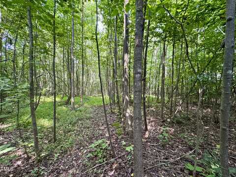 Tbd Hunters Circle, Rougemont, NC 27572