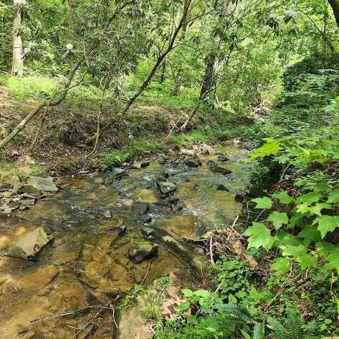 0 Woodstone Trail, Ellijay, GA 30540