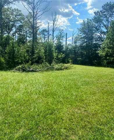 762 Aldridge Road, Buena Vista, GA 31803