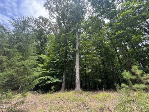 208 Jefferson Drive, Durham, NC 27712