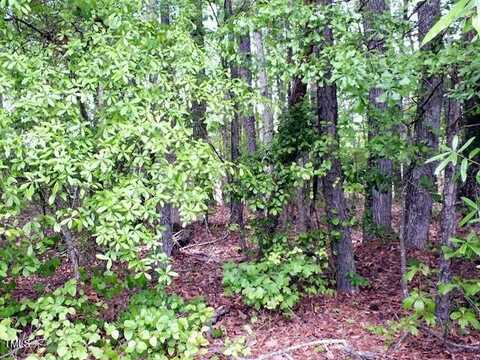 00 Bunn Elementary School Road, Bunn, NC 27508