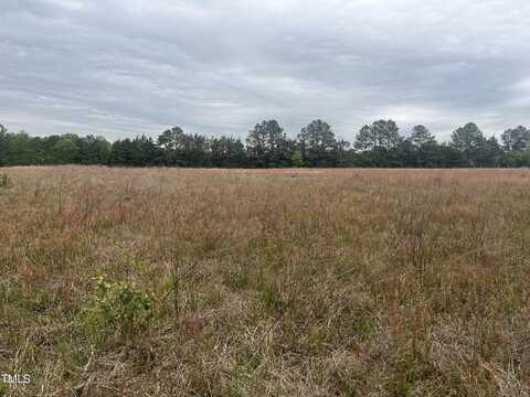0 Mill Creek Church Road, Newton Grove, NC 28366
