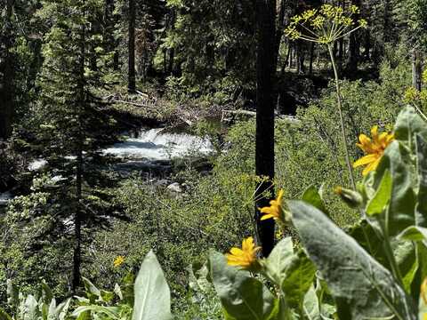 935 Ward Creek Blvd, Tahoe City, CA 96145