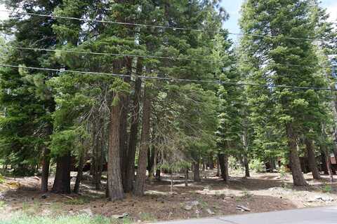 13436 Weisshorn Avenue, Truckee, CA 96161