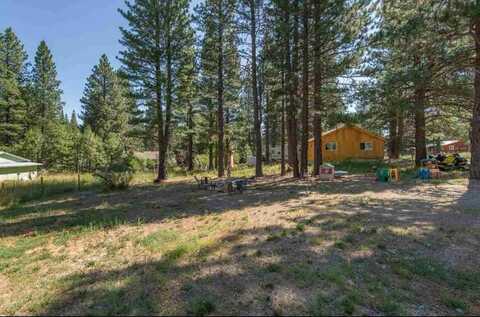 214 Calpine Avenue, Calpine, CA 96124