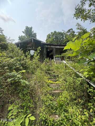 1232 Shelby Street Street, Bristol, TN 37620