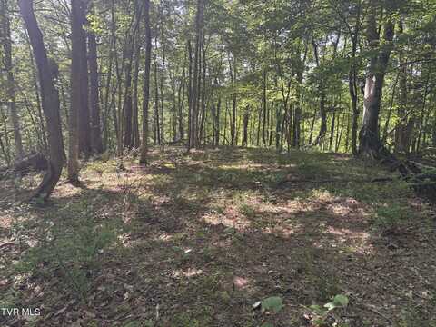 Tbd Skeetrock Road, Clintwood, VA 24228