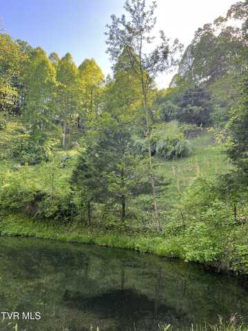 945 Steves Branch, Bee, VA 24217