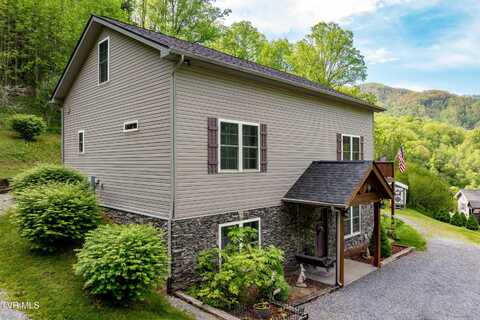 150 Rice Road, Flag Pond, TN 37657