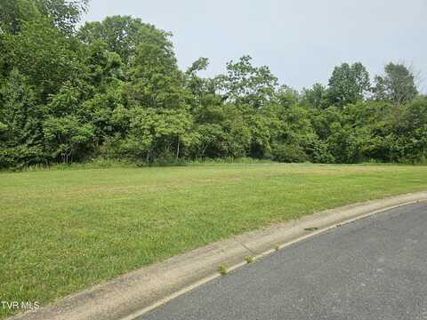 Lot 21 Bedford Circle, Greeneville, TN 37743