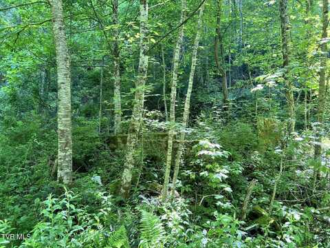 7576 Wells Adams Road, Norton, VA 24273