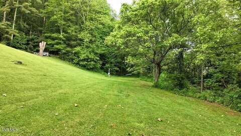 Tbd Carl Vance Drive, Swords Creek, VA 24649