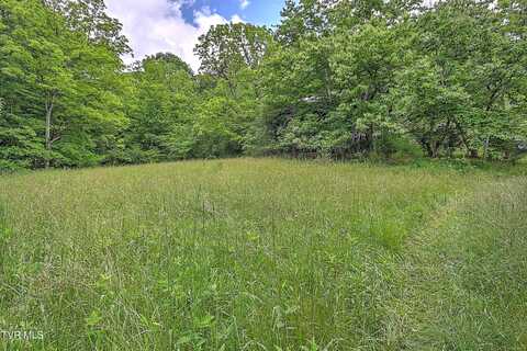 000 Goode Hollow Road, Duffield, VA 24244
