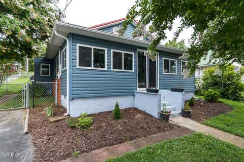 1605 East Fairview Avenue, Johnson City, TN 37601