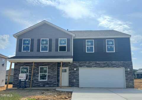 330 Cookie Loop, Johnson City, TN 37615