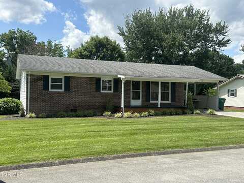 106 Buffalo Court, Erwin, TN 37650