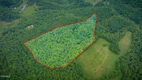 Tbd Mineral Hill Lane, Gate City, VA 24251