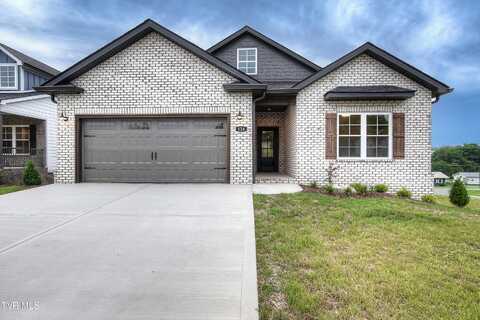 126 Dry Kiln Court, Johnson City, TN 37615