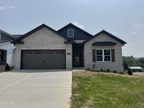 126 Dry Kiln Court, Johnson City, TN 37615