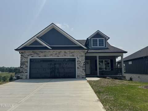 138 Dry Kiln Court, Johnson City, TN 37615