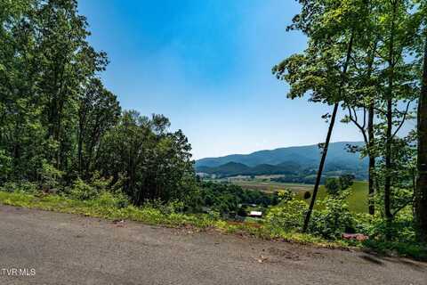 Tbd Longview Private Drive, Mountain City, TN 37683