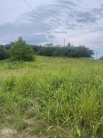 N/A Oakwood Road, Midway, TN 37809