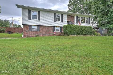 118 Greenmeadow Lane, Jonesborough, TN 37659
