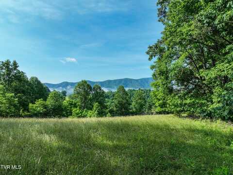 Tbd Snowflake Road, Gate City, VA 24251