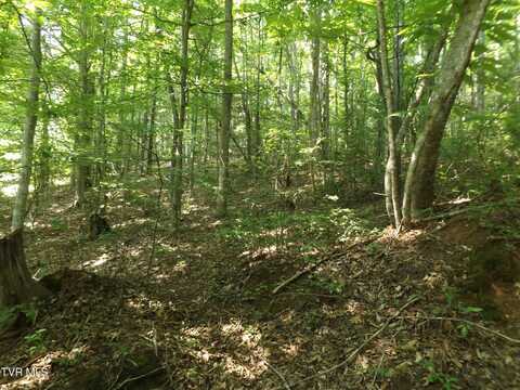 229 Rome Hollow Road, Elizabethton, TN 37643