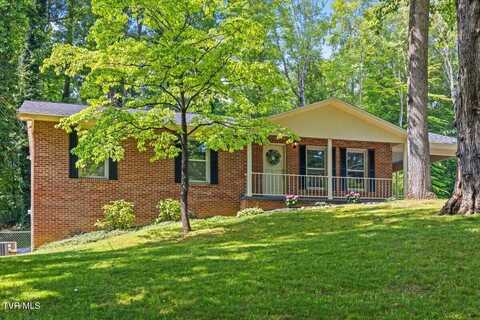 1820 Brook Hollow Road, Johnson City, TN 37604