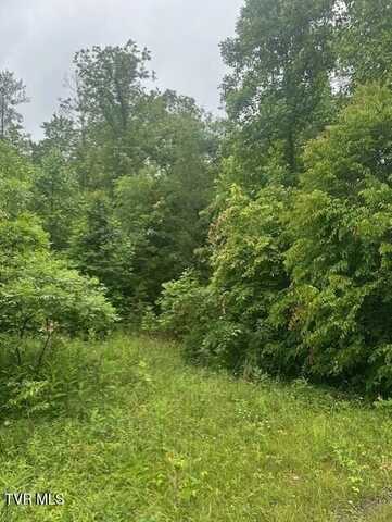 Laurel Lane, Unicoi, TN 37692