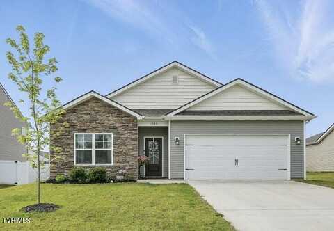 1545 Raccoon Lane, Piney Flats, TN 37686
