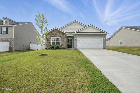 1545 Racoon Lane, Piney Flats, TN 37686