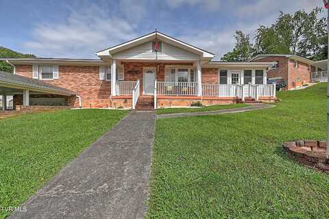 205 Live Oak Drive, Kingsport, TN 37660