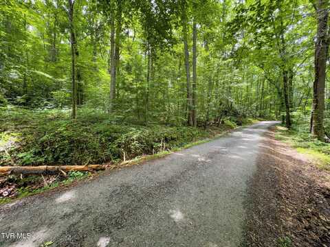 000 Hopkins Road, Cosby, TN 37722