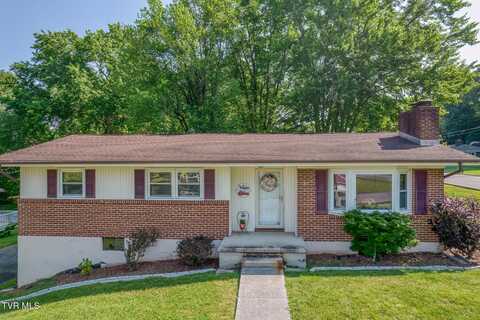 207 Caldwell Drive, Bristol, TN 37620