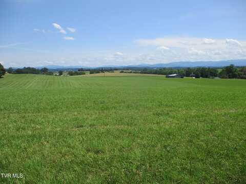196 Providence Road, Telford, TN 37690
