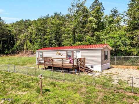 2199 Stoneview Way, Cosby, TN 37722