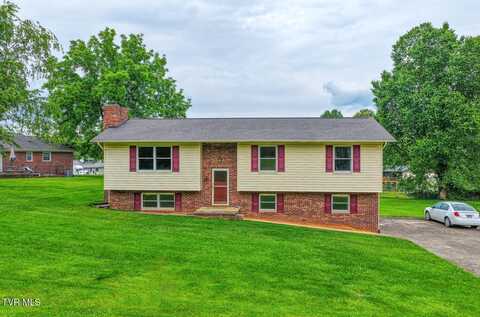 1408 Valley Lane, Mount Carmel, TN 37645