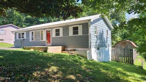 1315 Lowe Street, Elizabethton, TN 37643