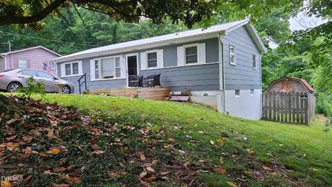 1315 Lowe Street, Elizabethton, TN 37643
