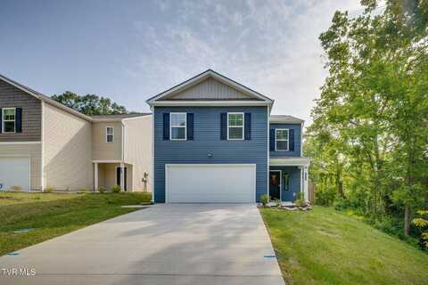481 Cox Hollow Road, Kingsport, TN 37663