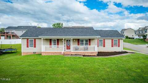 141 Violet Lane, Bluff City, TN 37618