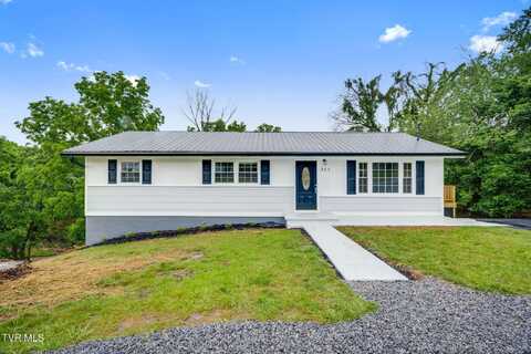 313 Morelock Street, Kingsport, TN 37660