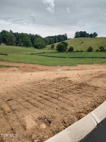 Lot 9 Larkins Farm Drive, Jonesborough, TN 37659