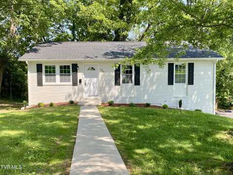 724 Georgia Street, Johnson City, TN 37601