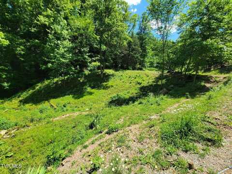Tract 7 Sandy Valley Road, Rogersville, TN 37857