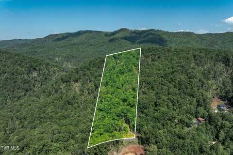 Tbd Longview Private Drive, Mountain City, TN 37683