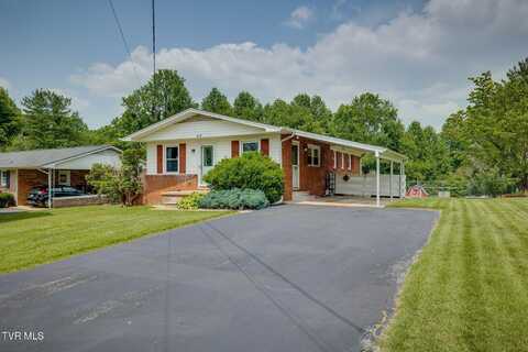 113 Harrell Road, Johnson City, TN 37604